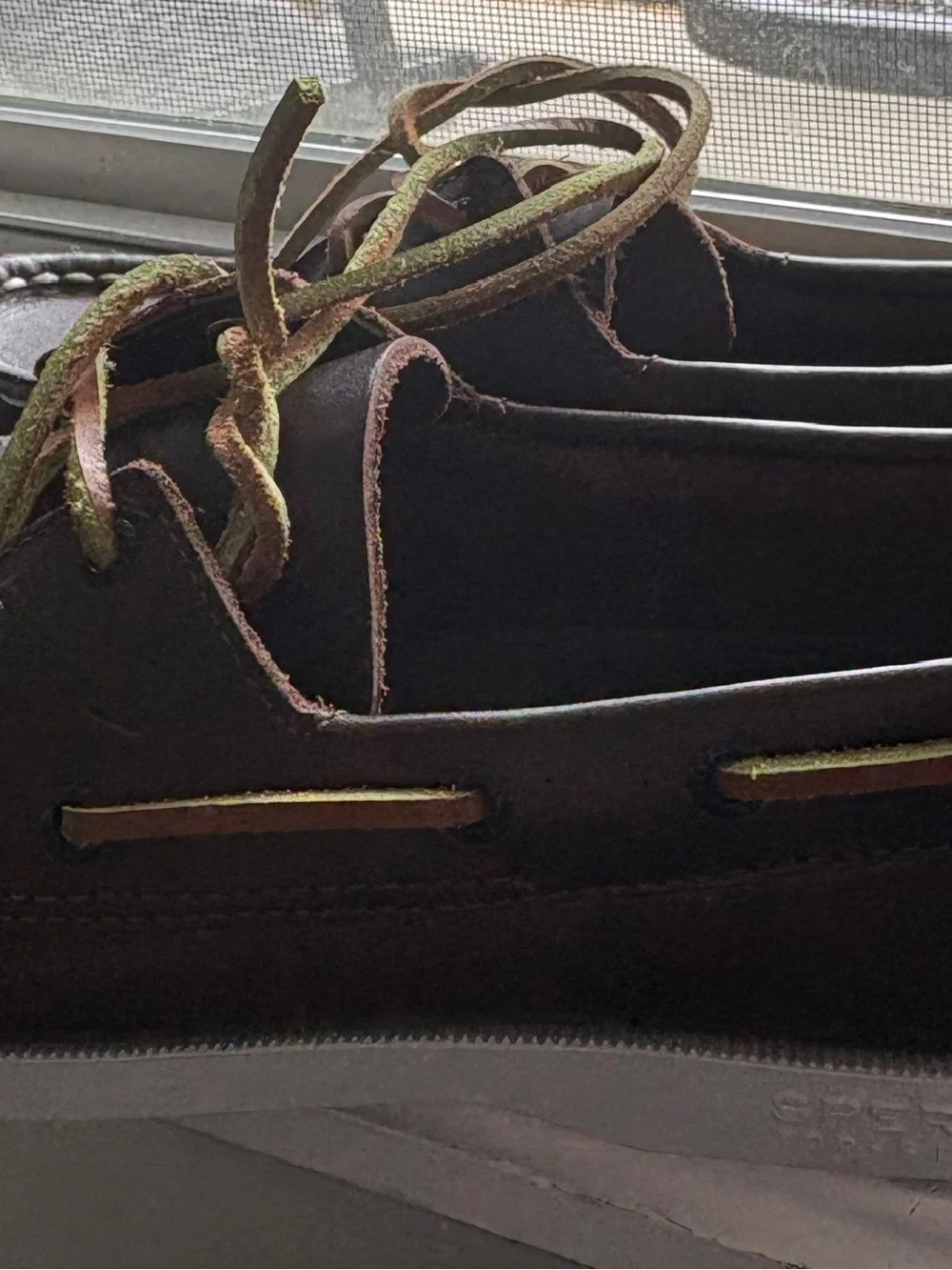 Boys Brown Leather Boat Shoes with Two-Tone Laces
